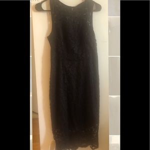 The Limited Dress with Black Lace